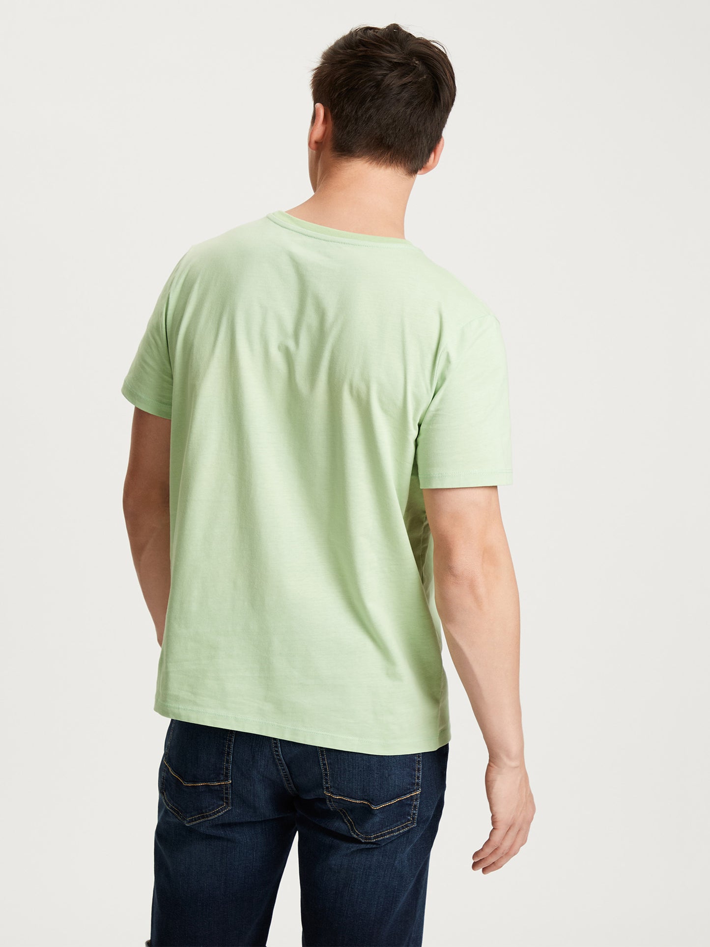 Herren Regular T-Shirt Print mintgrün