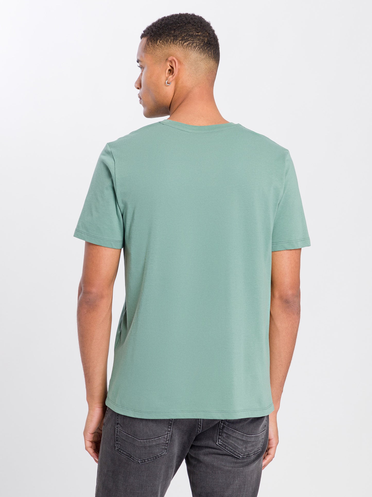 Herren Regular Print T-Shirt grün