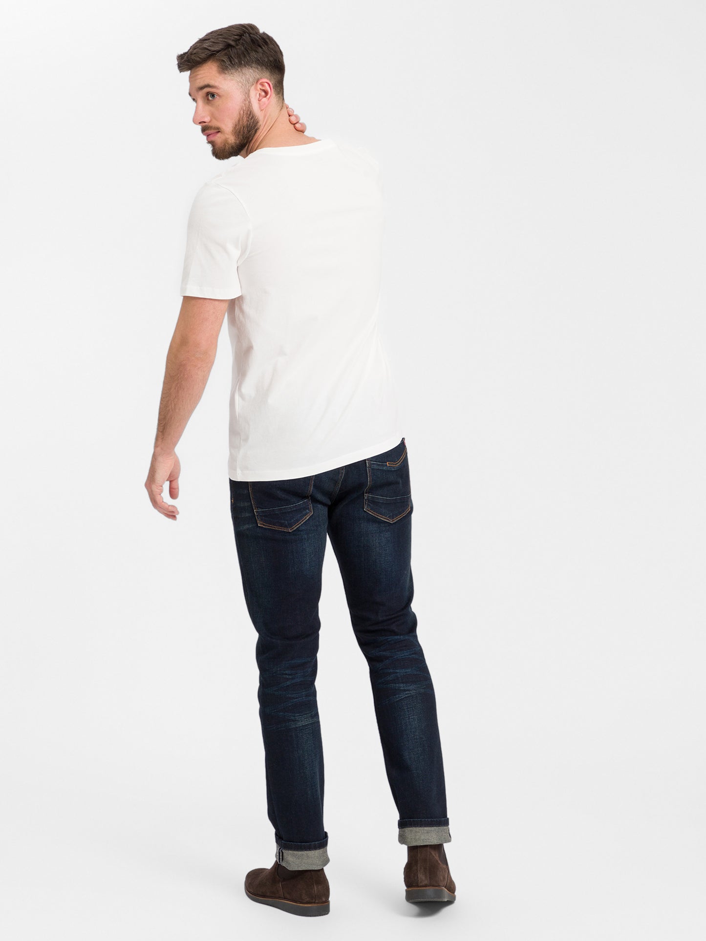 Herren Regular Print T-Shirt Nature beige