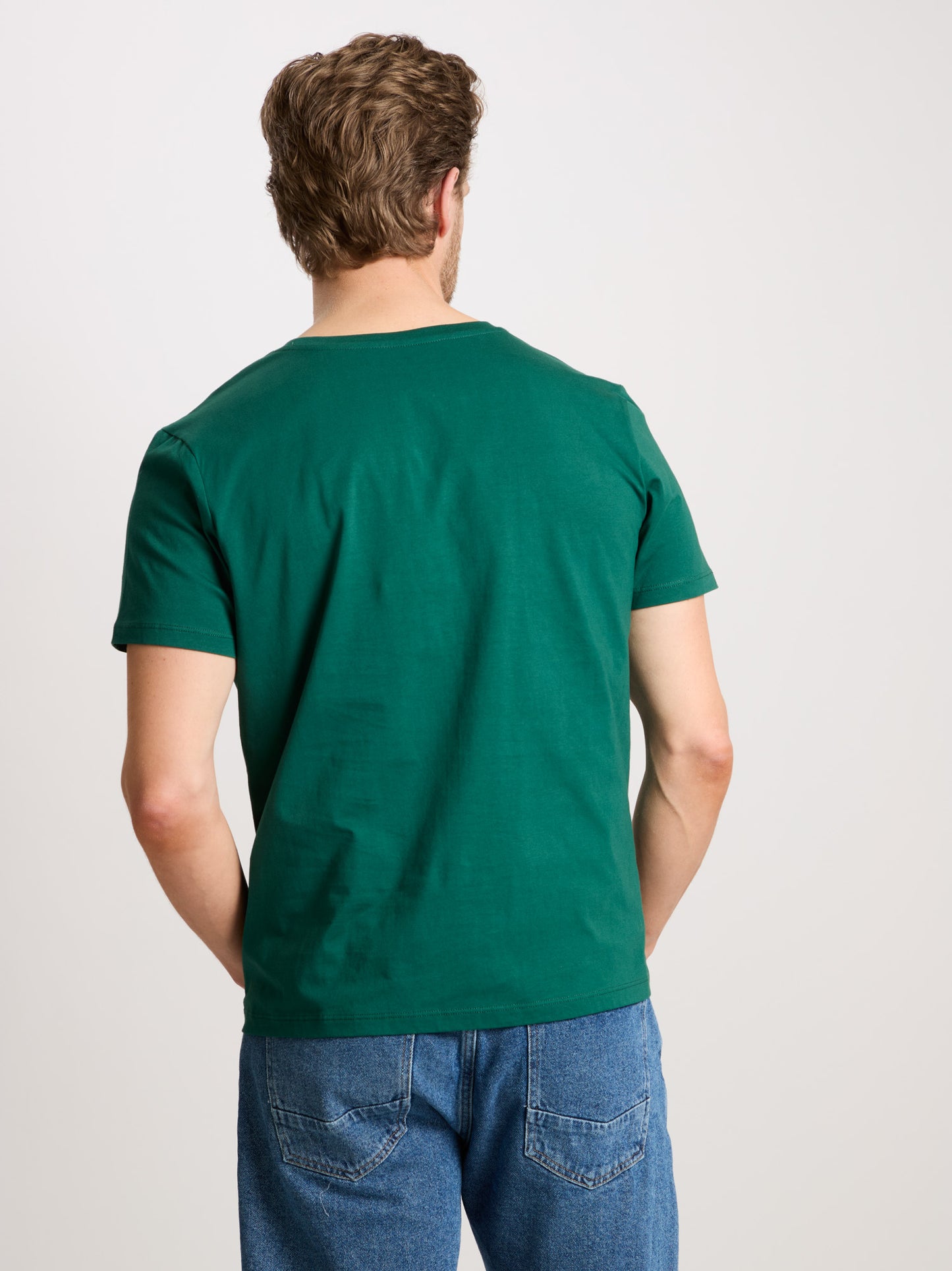 Men's regular T-shirt with statement print green.