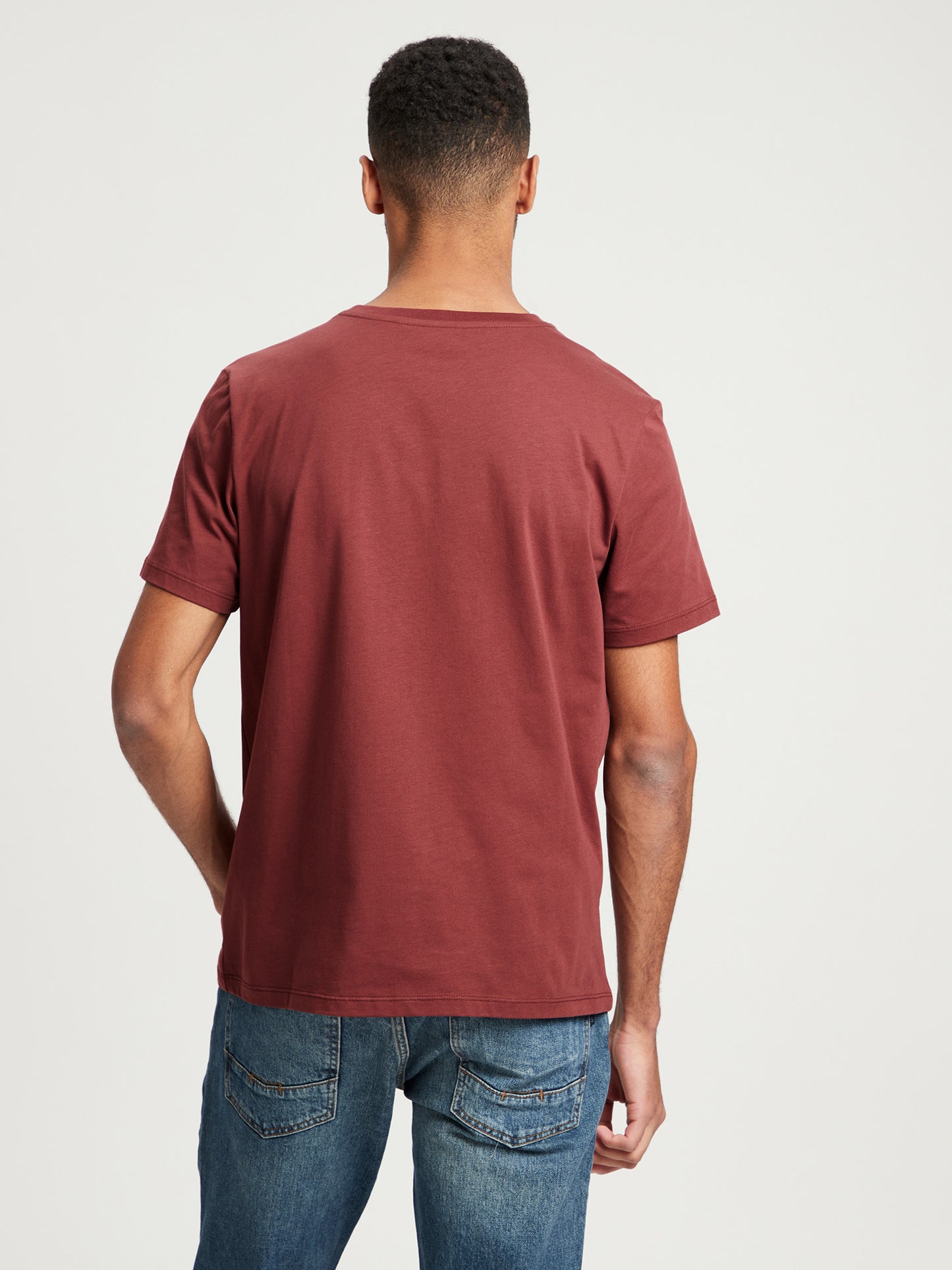 Men's regular T-shirt with photo prints brown.