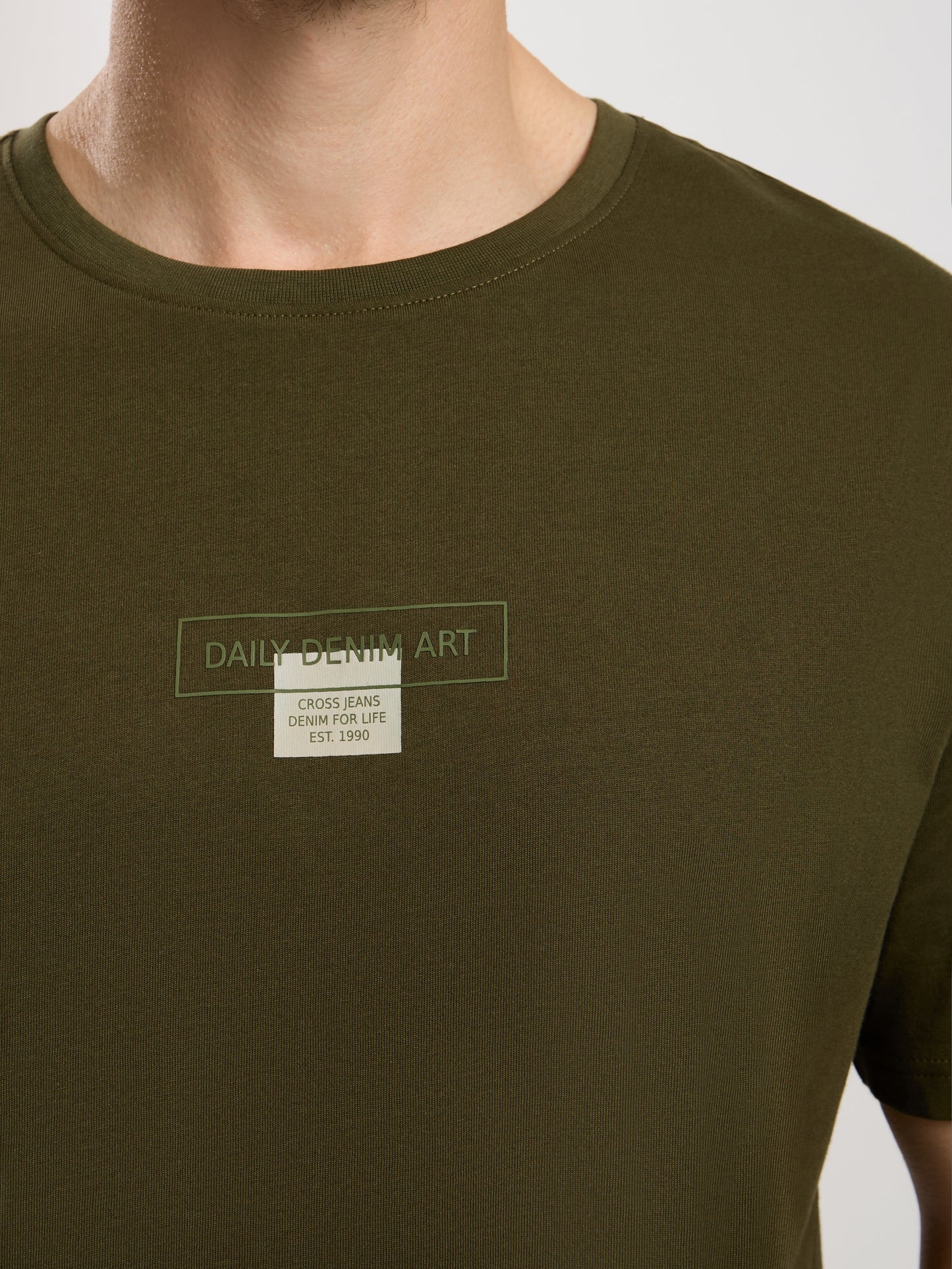 Men's regular t-shirt in khaki