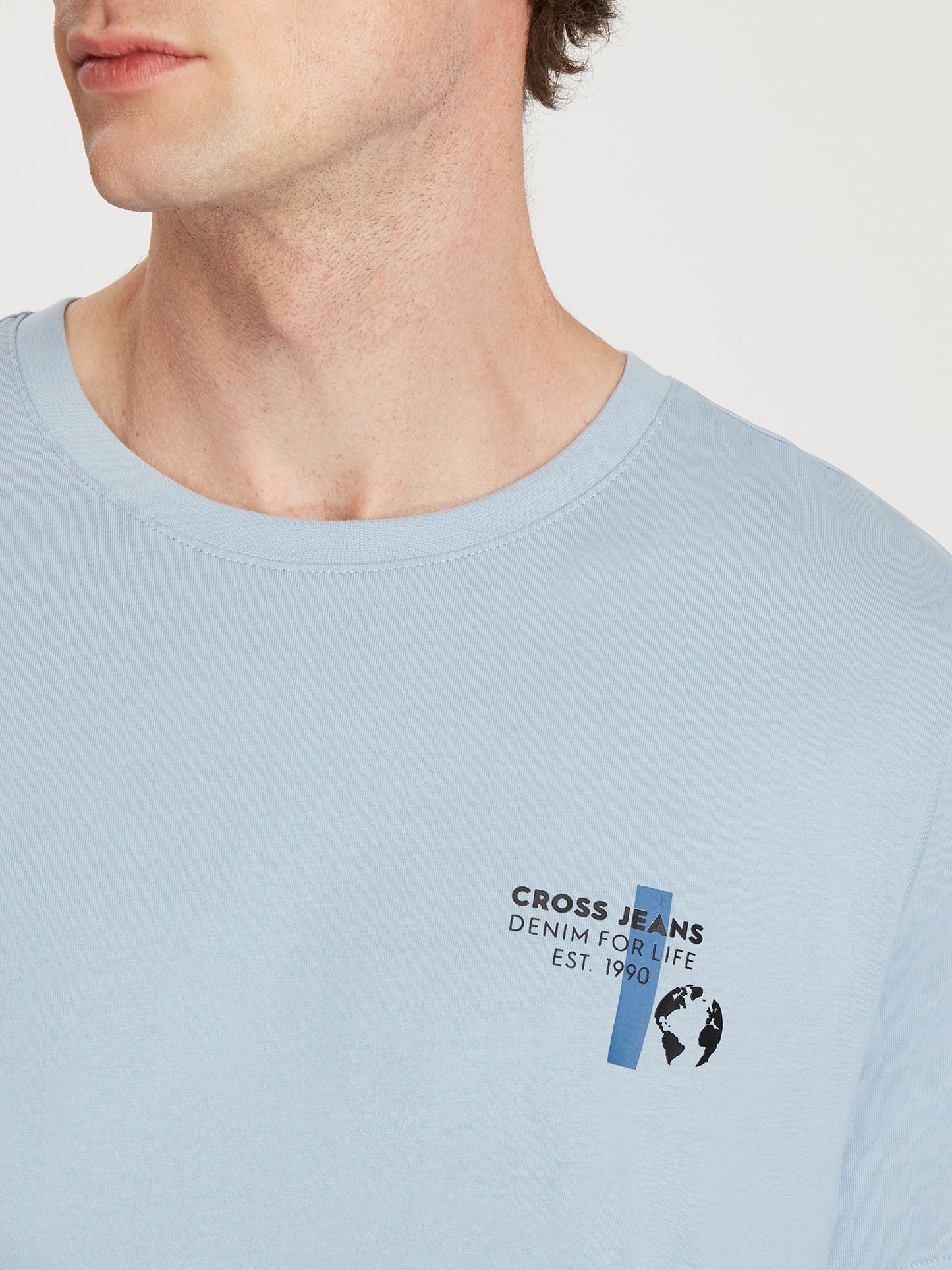Herren Regular T-Shirt in hellblau