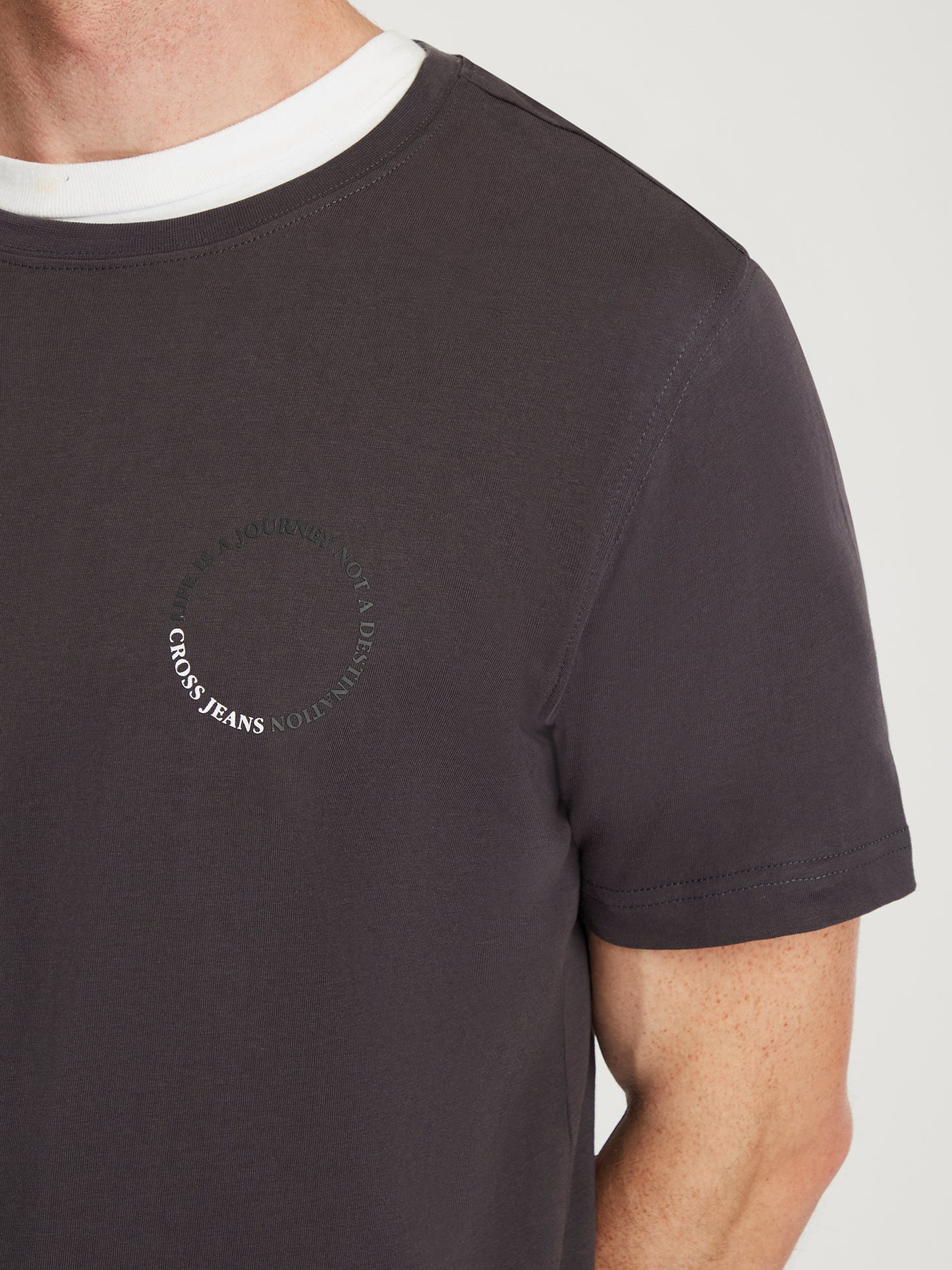 Herren Regular T-Shirt in grau