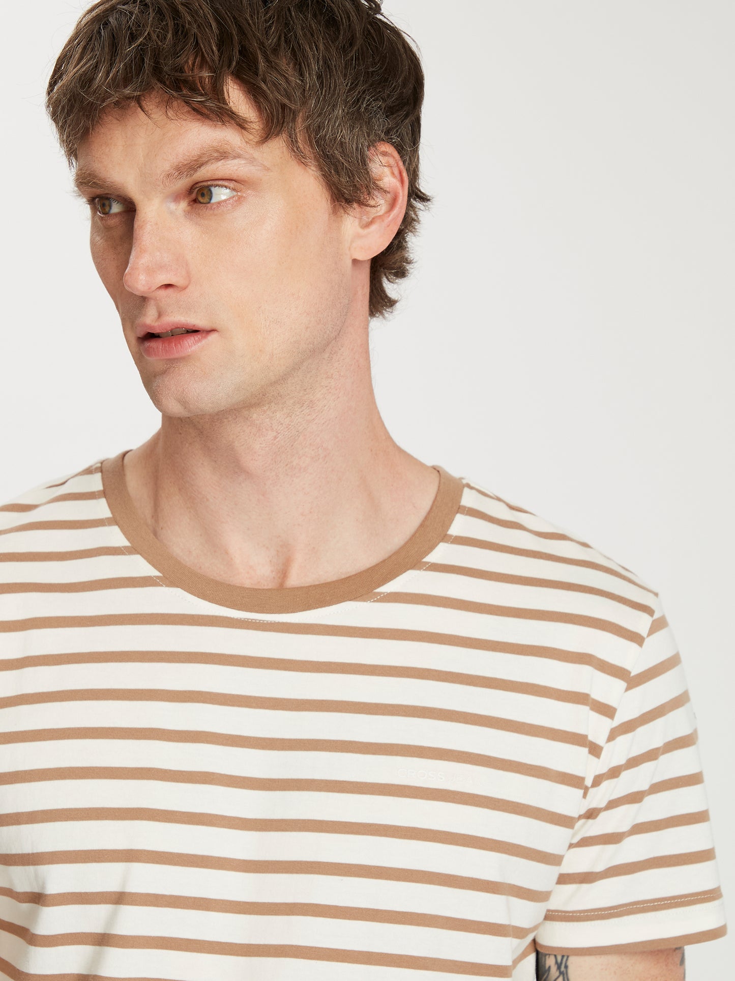 Herren Regular T-Shirt in braun gestreift