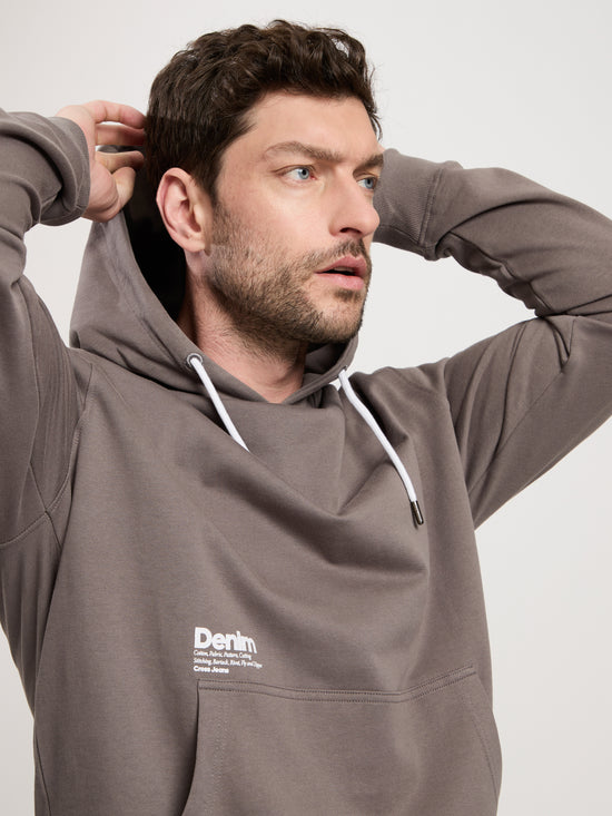 Herren Hoodie Regular in Anthrazit