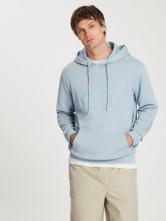 Herren Regular Hoodie in hellblau
