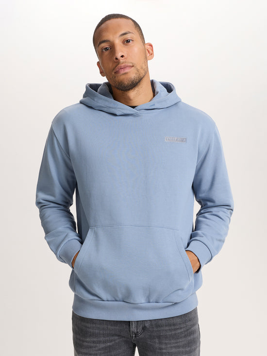 REGULAR FIT  HOODIE