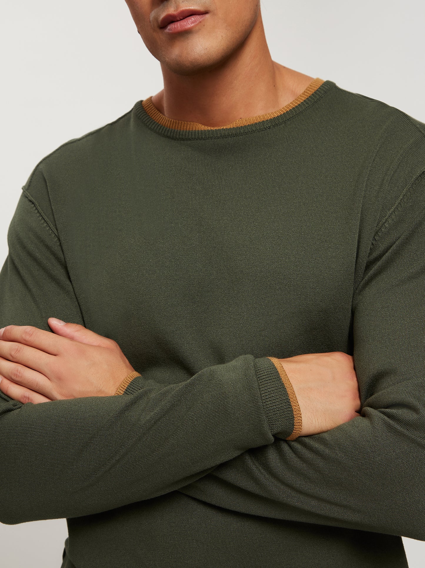 REGULAR FIT  PULLOVER